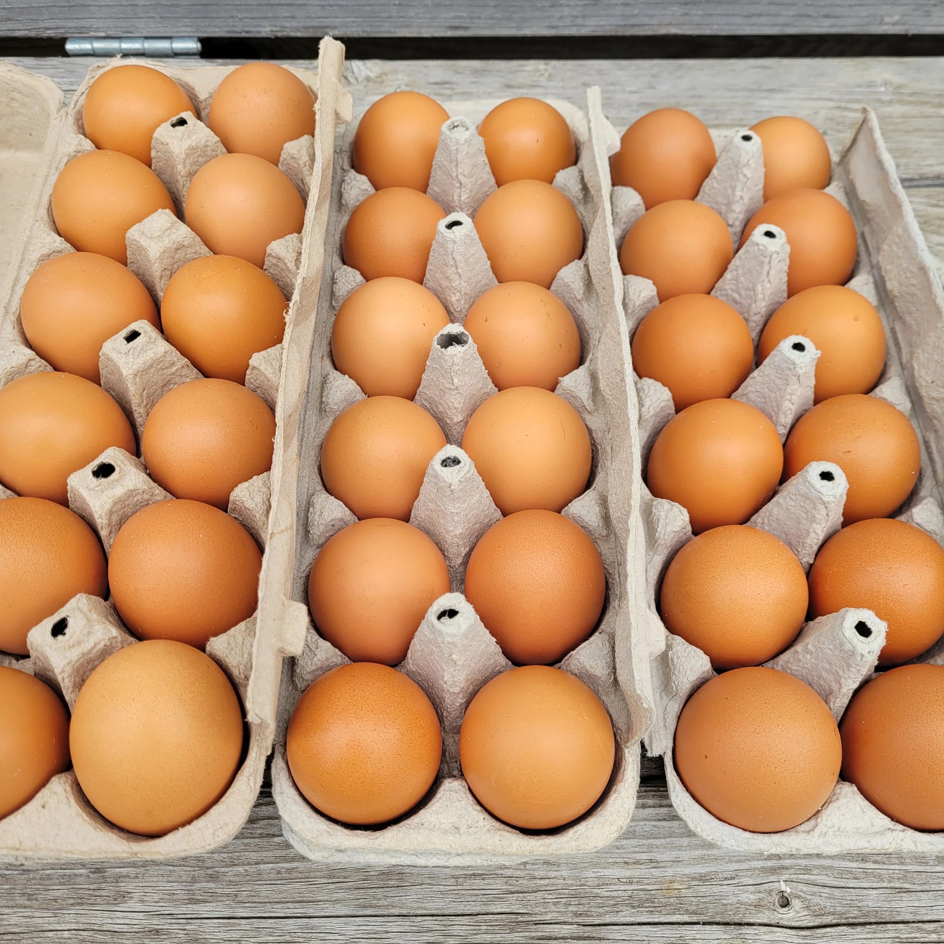 Dozen Eggs