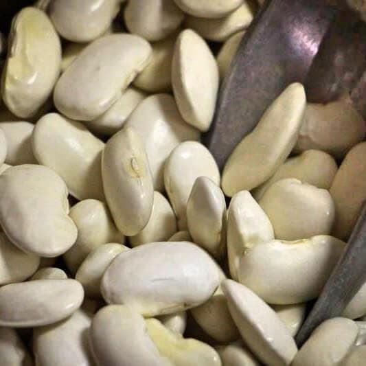 Royal Corona Beans