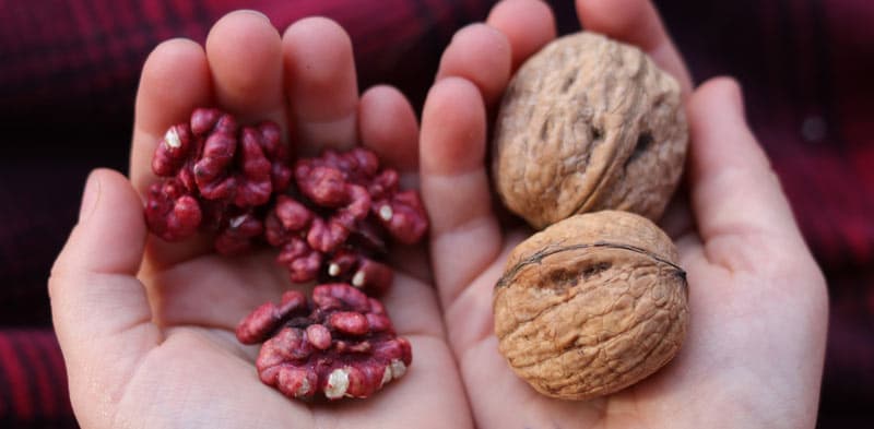 Red Walnuts In Shell (Organic, Raw, Unpasteurized) image 3