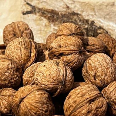 Red Walnuts In Shell (Organic, Raw, Unpasteurized) image 4