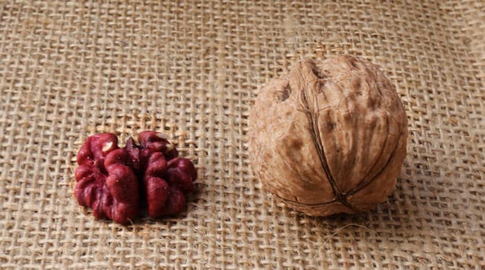 Red Walnuts In Shell (Organic, Raw, Unpasteurized) image 2