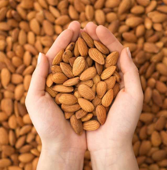 Organic Shelled Almonds (Monterey Raw, Unpasteurized, Nonpareil) image 2
