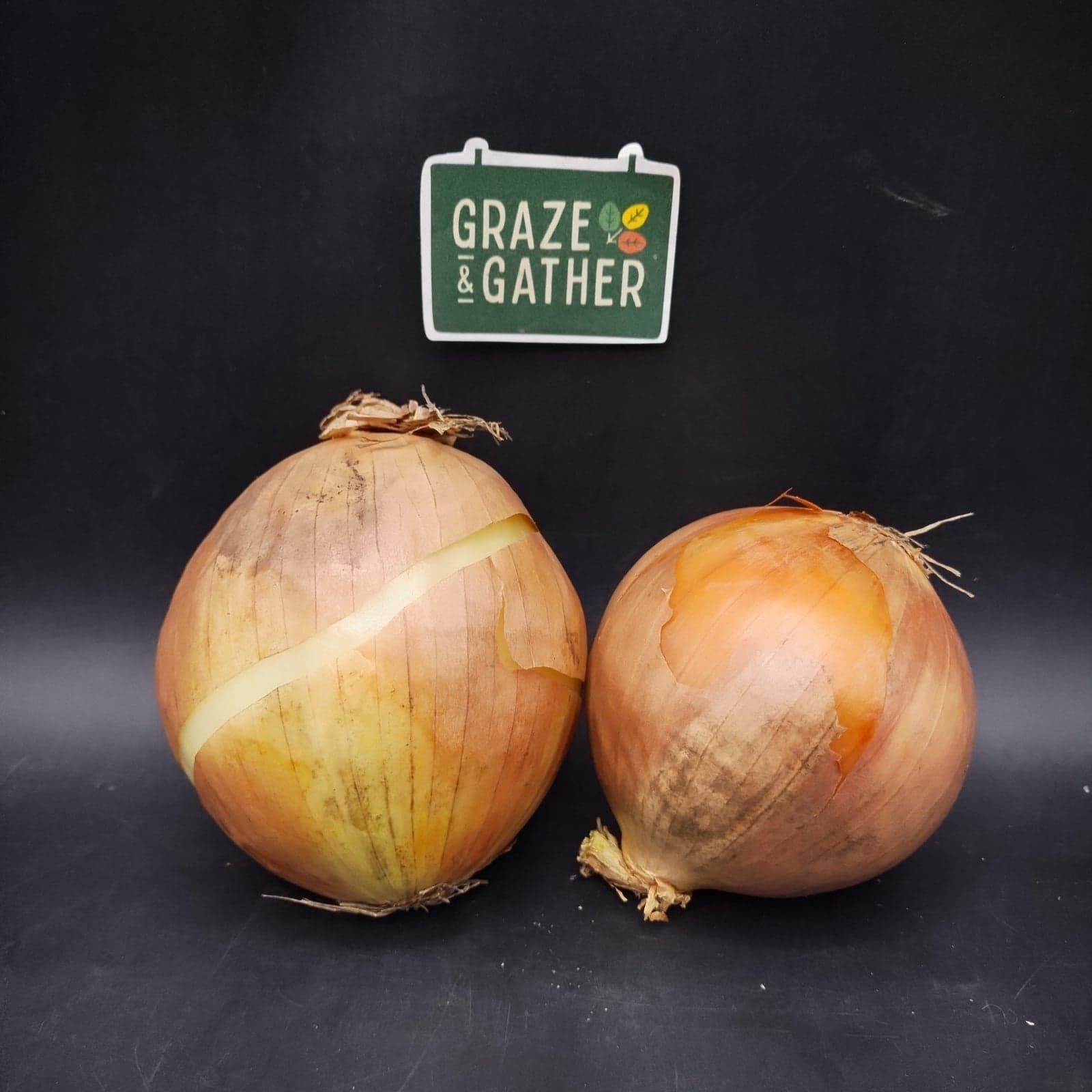 Yellow Onions, Organic
