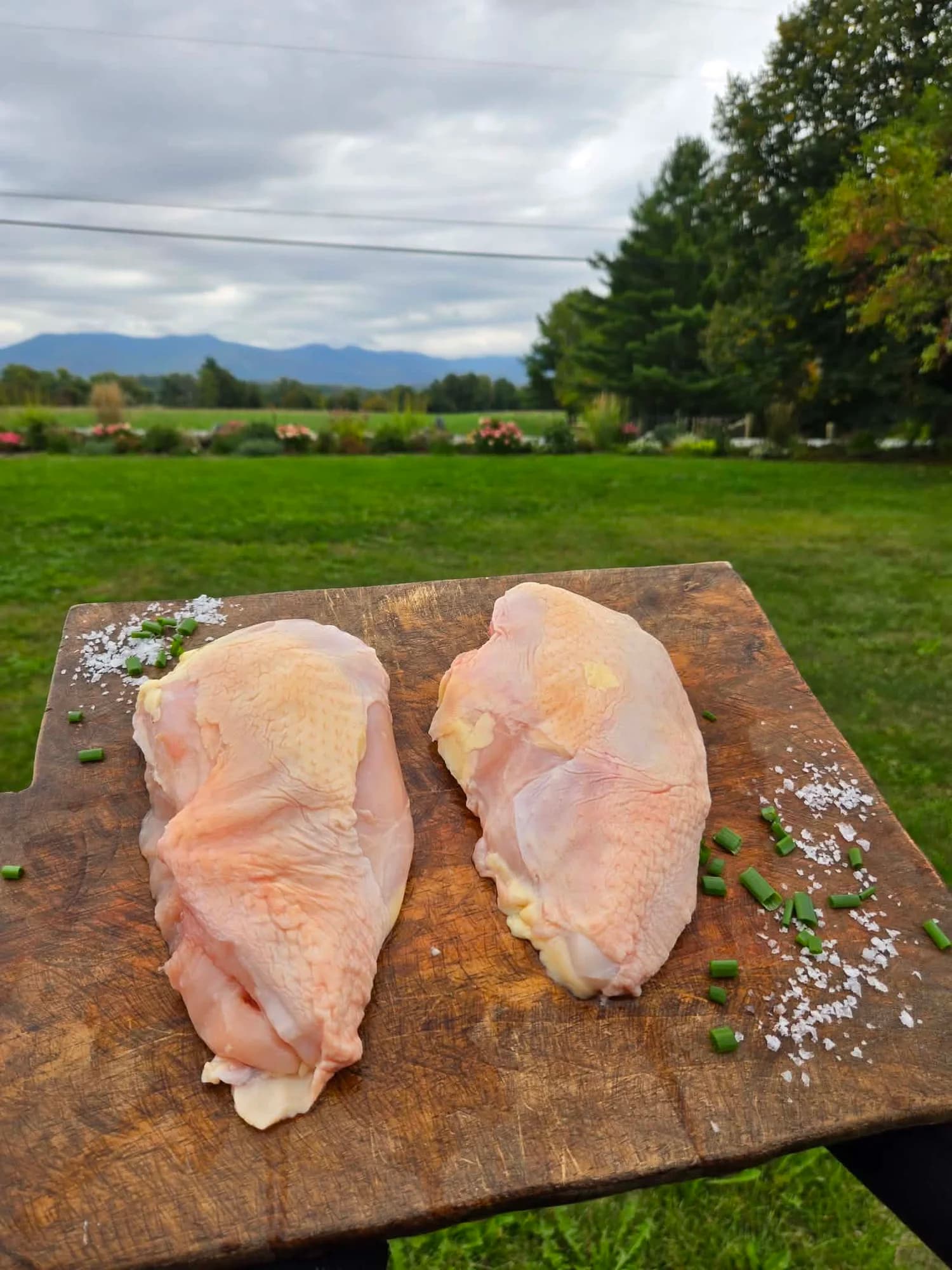 Chicken Breast
