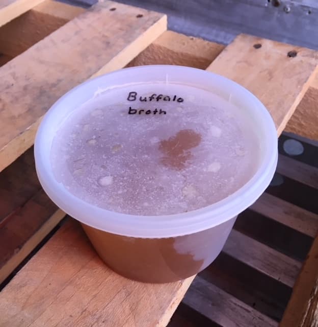 Buffalo Broth image 2