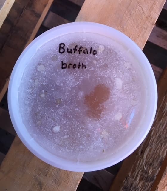 Buffalo Broth