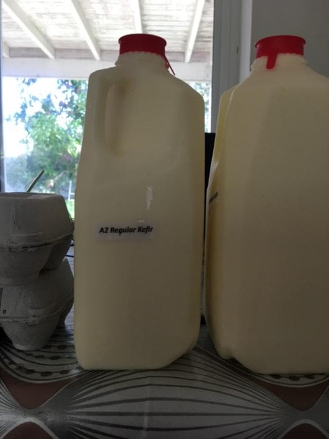 Cow Kefir – A2/A2 – Plastic