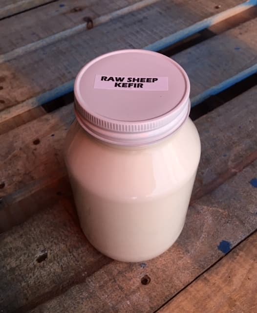 Sheep Kefir – Glass – QUART