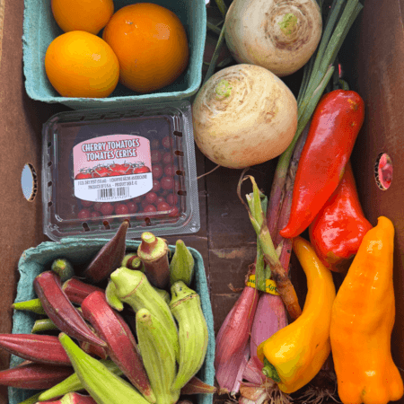 2027 Full Season CSA