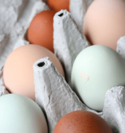 Monthly Egg Subscription