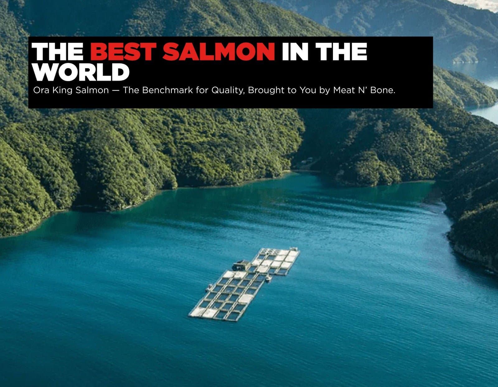 Ora King Salmon Filet image 4