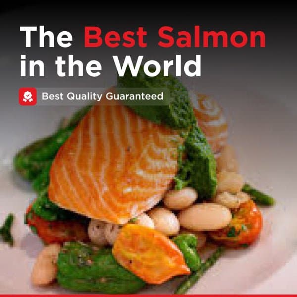 Ora King Salmon Filet image 3