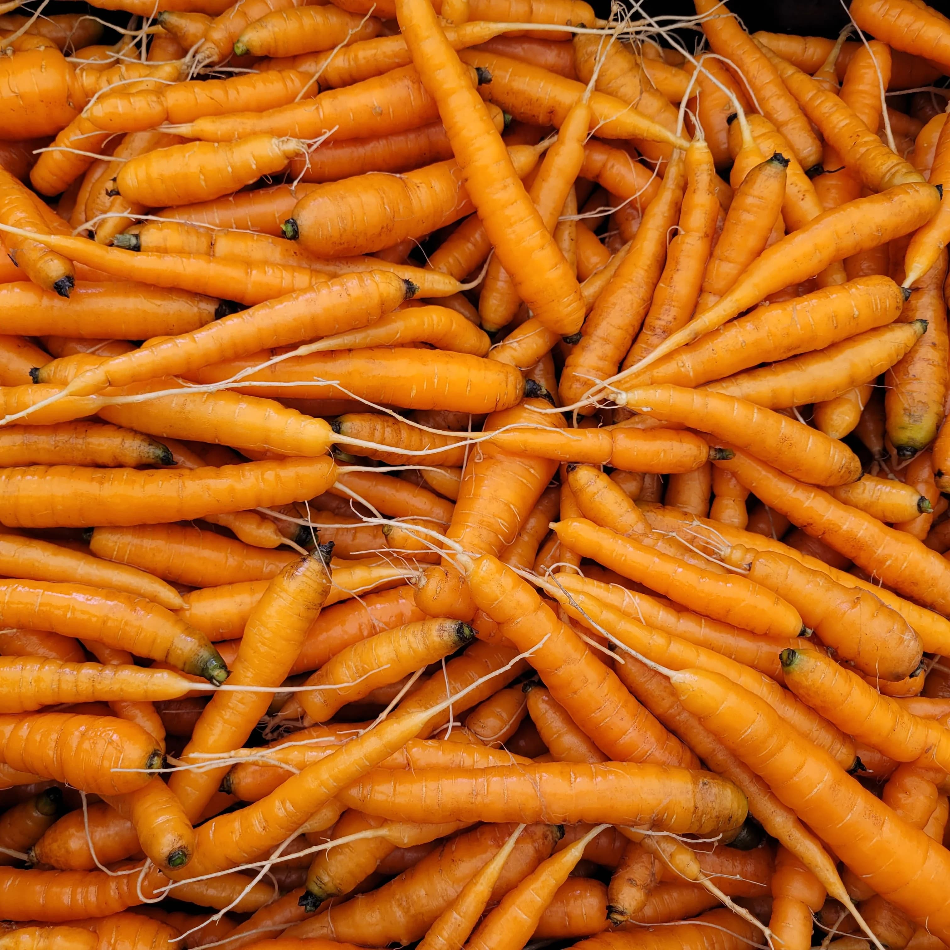 Carrots (Orange) - Pints