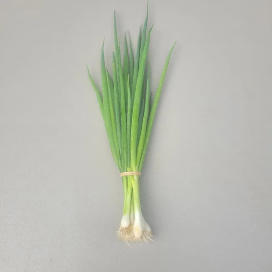 Scallions