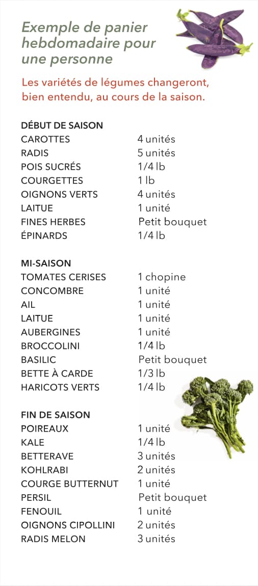 Panier de légumes de saison ! image 5