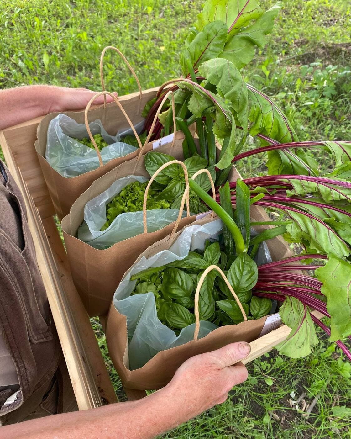 Panier de légumes de saison !