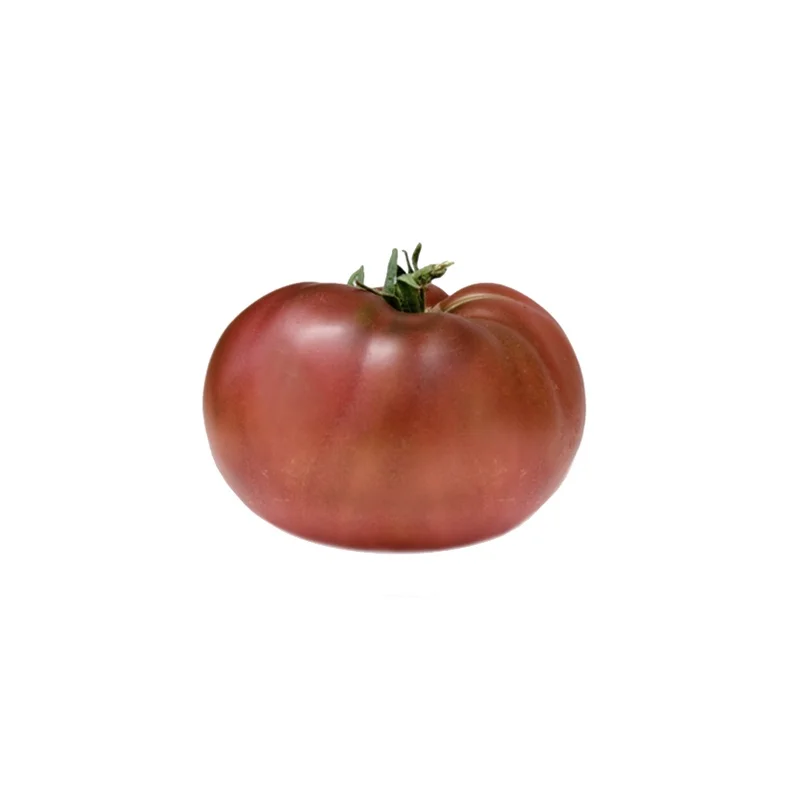 Tomate Mauve Naine « Rosella’s Purple » (plant)