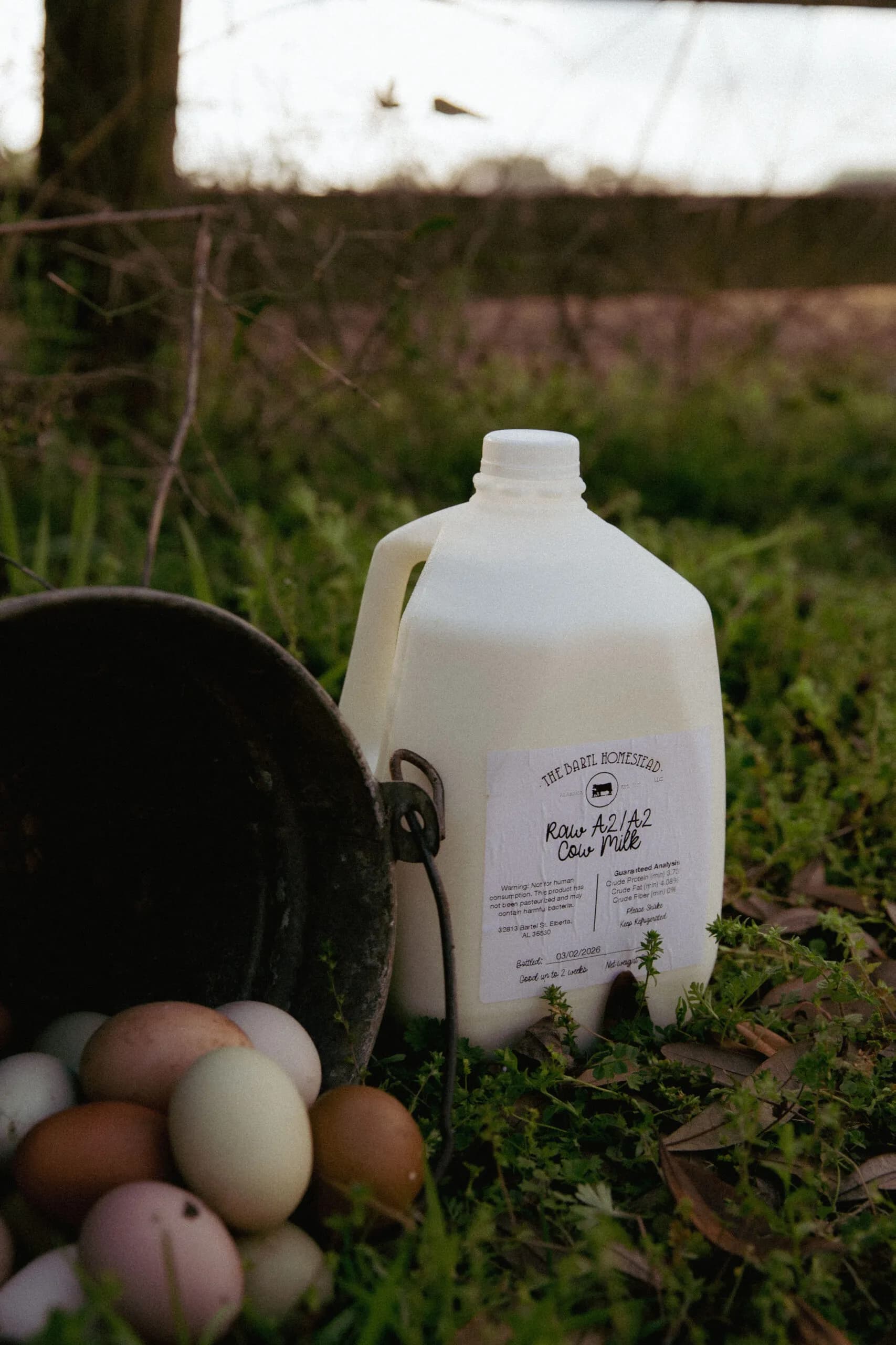 Raw Milk for Pet Consumption (Plastic Jug)
