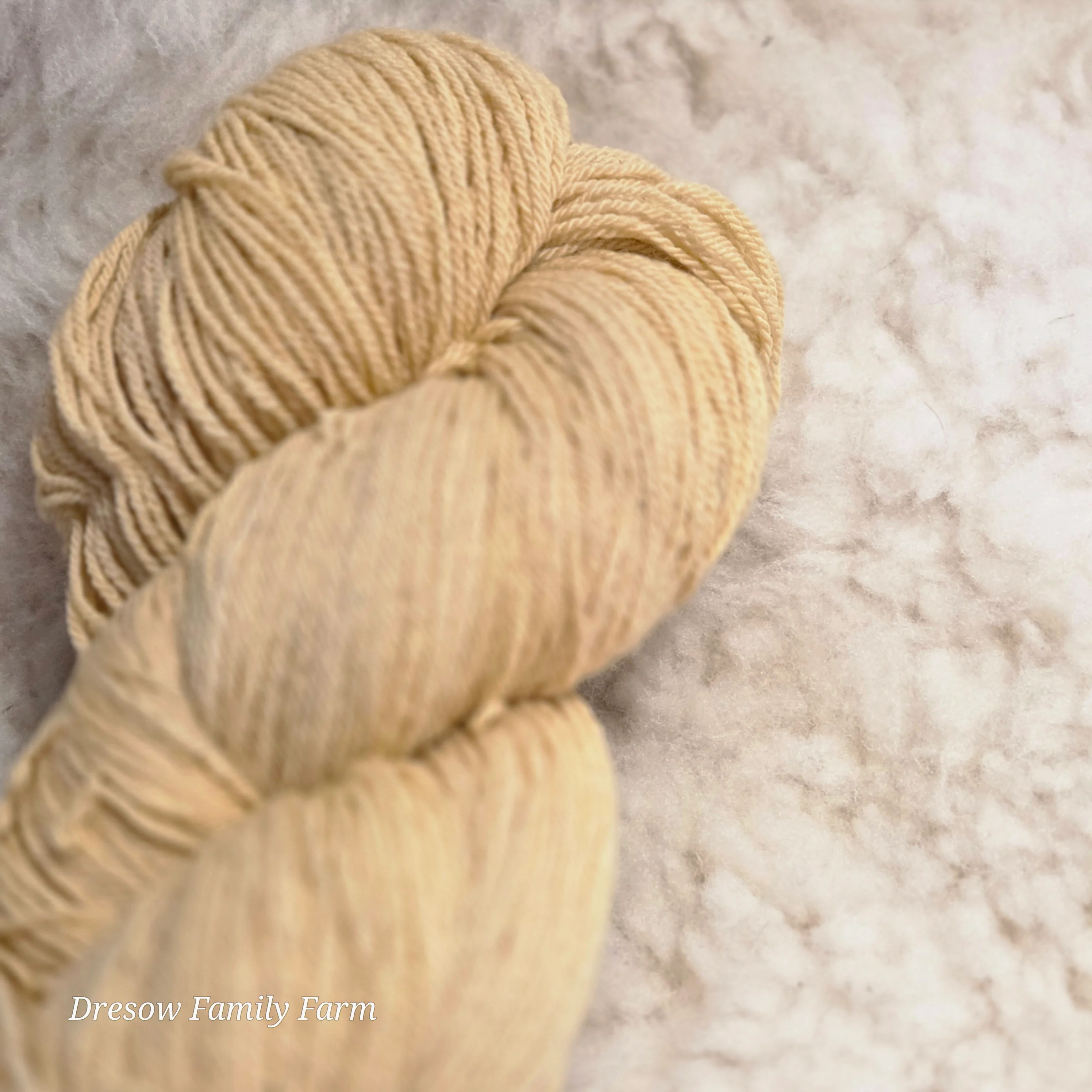 GBarb Cormo X CVM Fingering Weight Yarn image 3