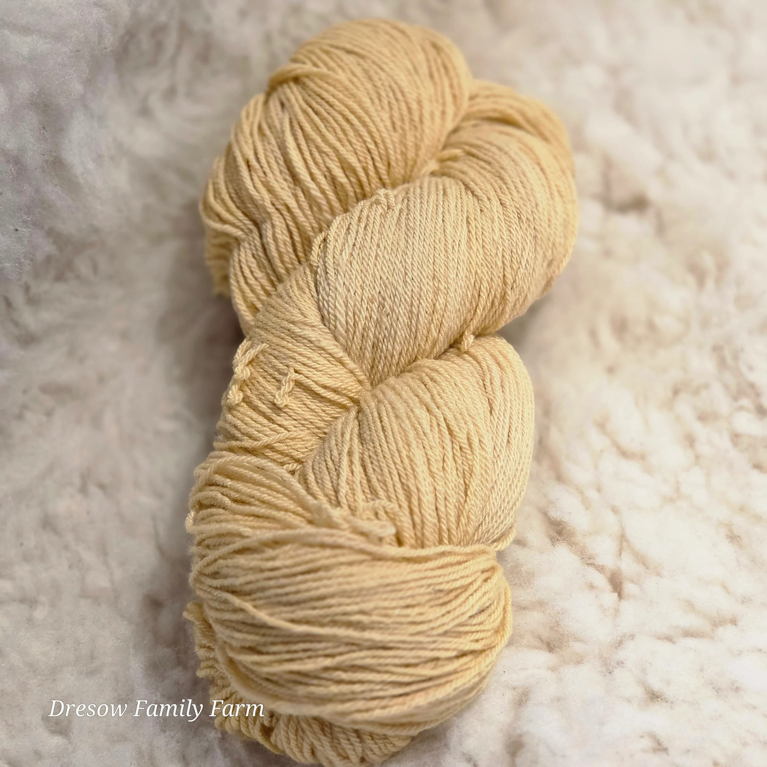GBarb Cormo X CVM Fingering Weight Yarn