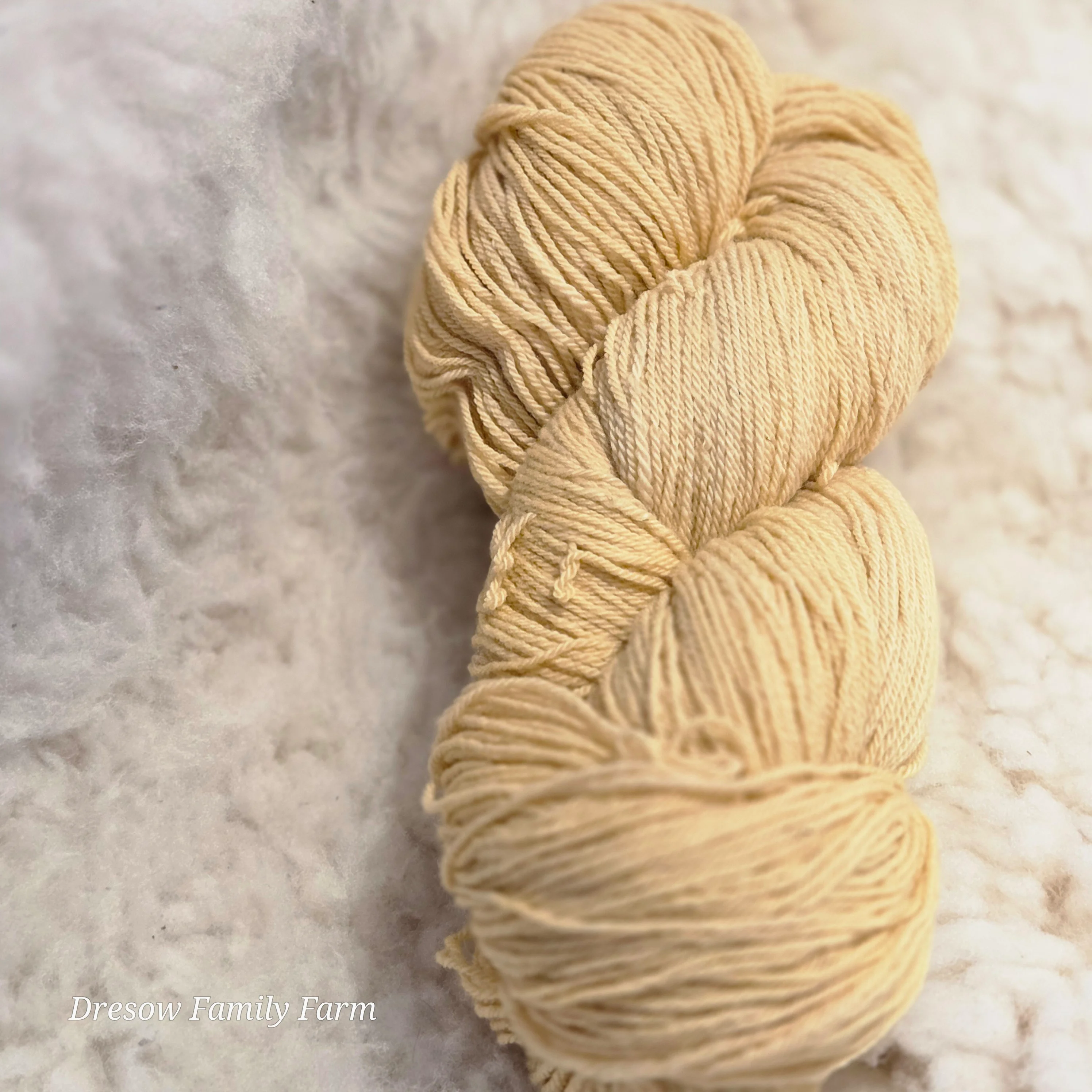 GBarb Cormo X CVM Fingering Weight Yarn image 2