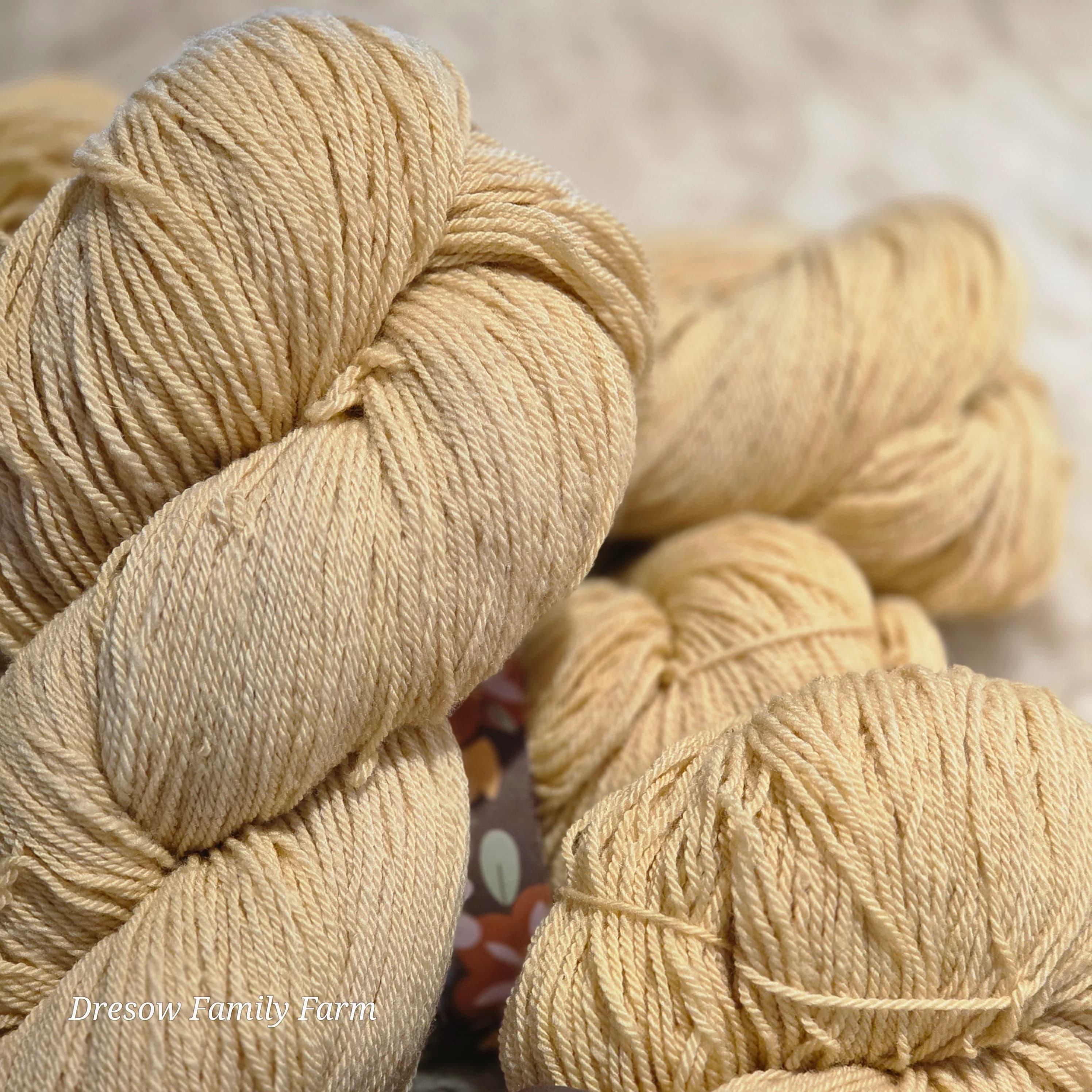 GBarb Cormo X CVM Fingering Weight Yarn image 4
