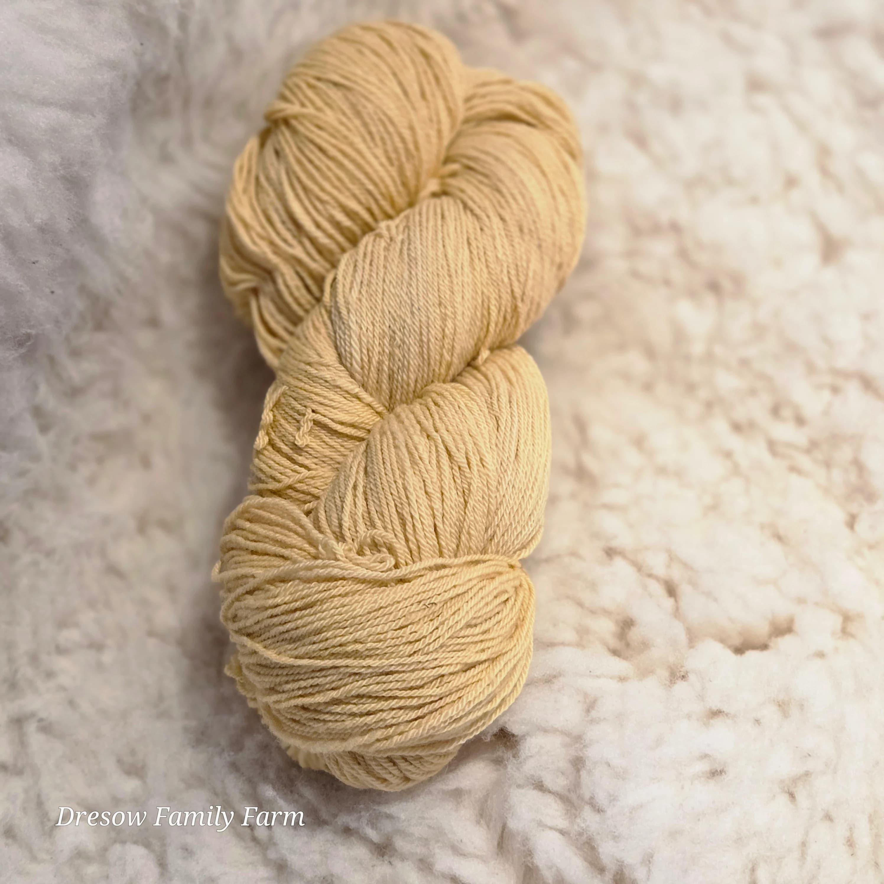 GBarb Cormo X CVM Fingering Weight Yarn image 5