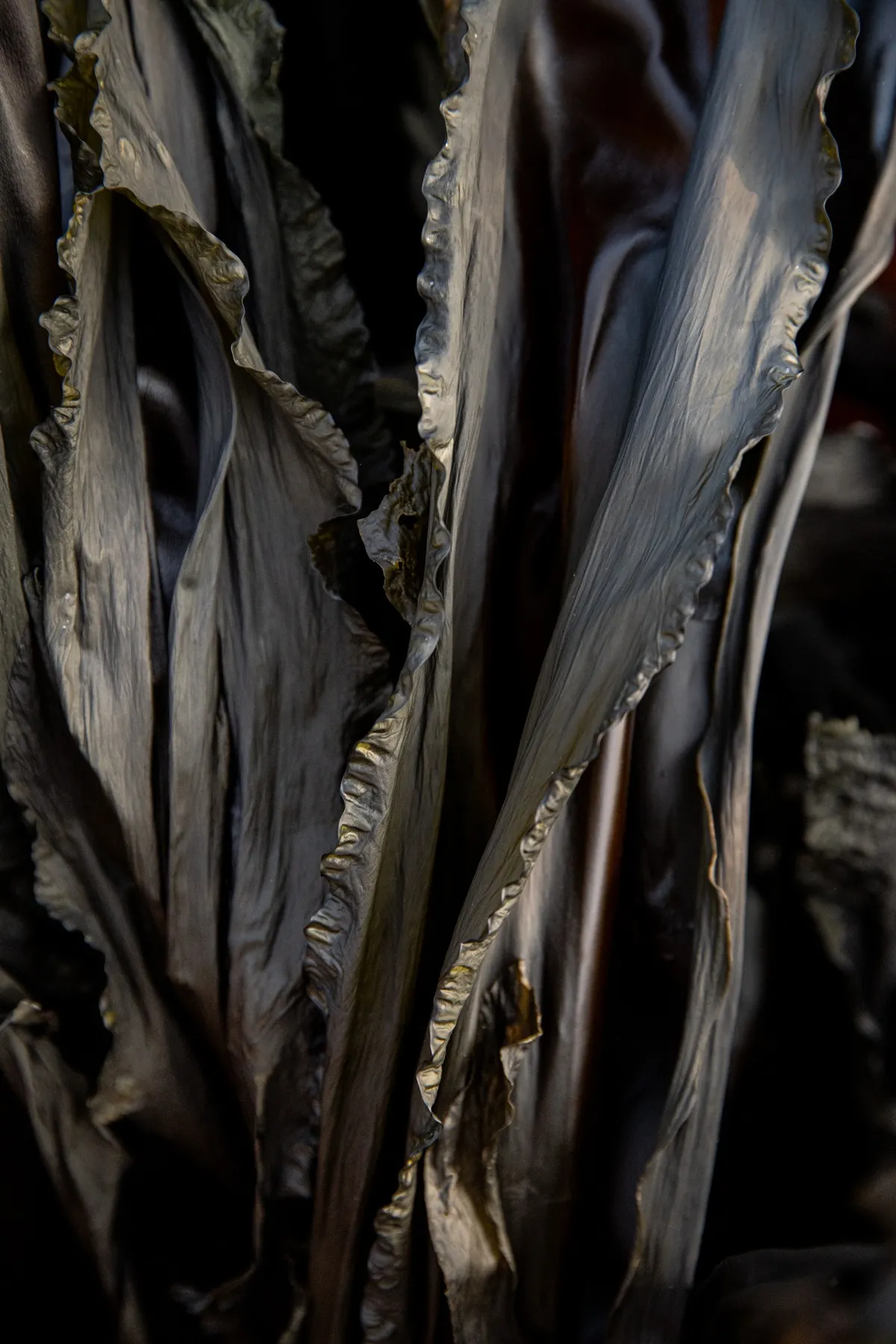 Wild Kelp Flakes image 4