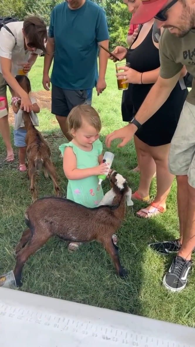 Goat Party Booking