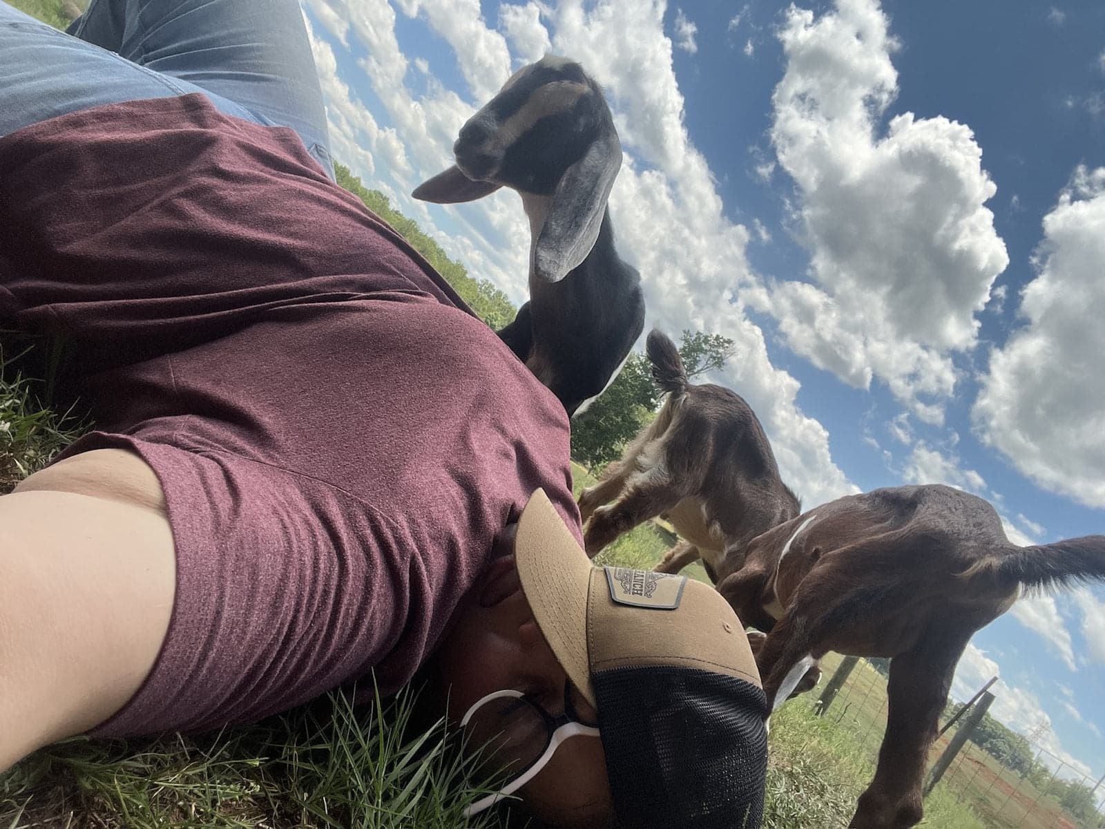 Goat Party Booking image 2