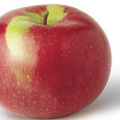 Apples - McIntosh - 1/4 Peck