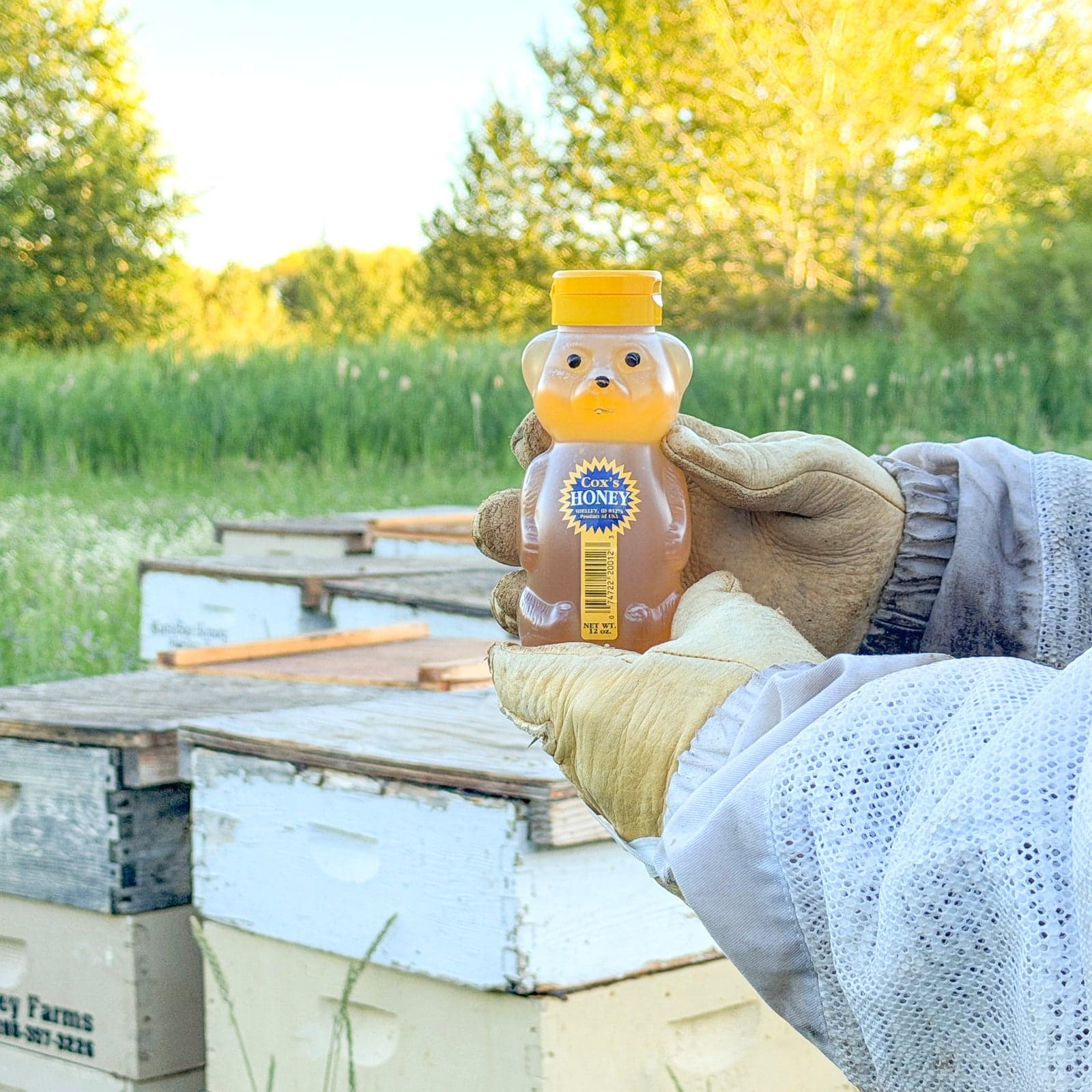 Table Honey Bundle image 2