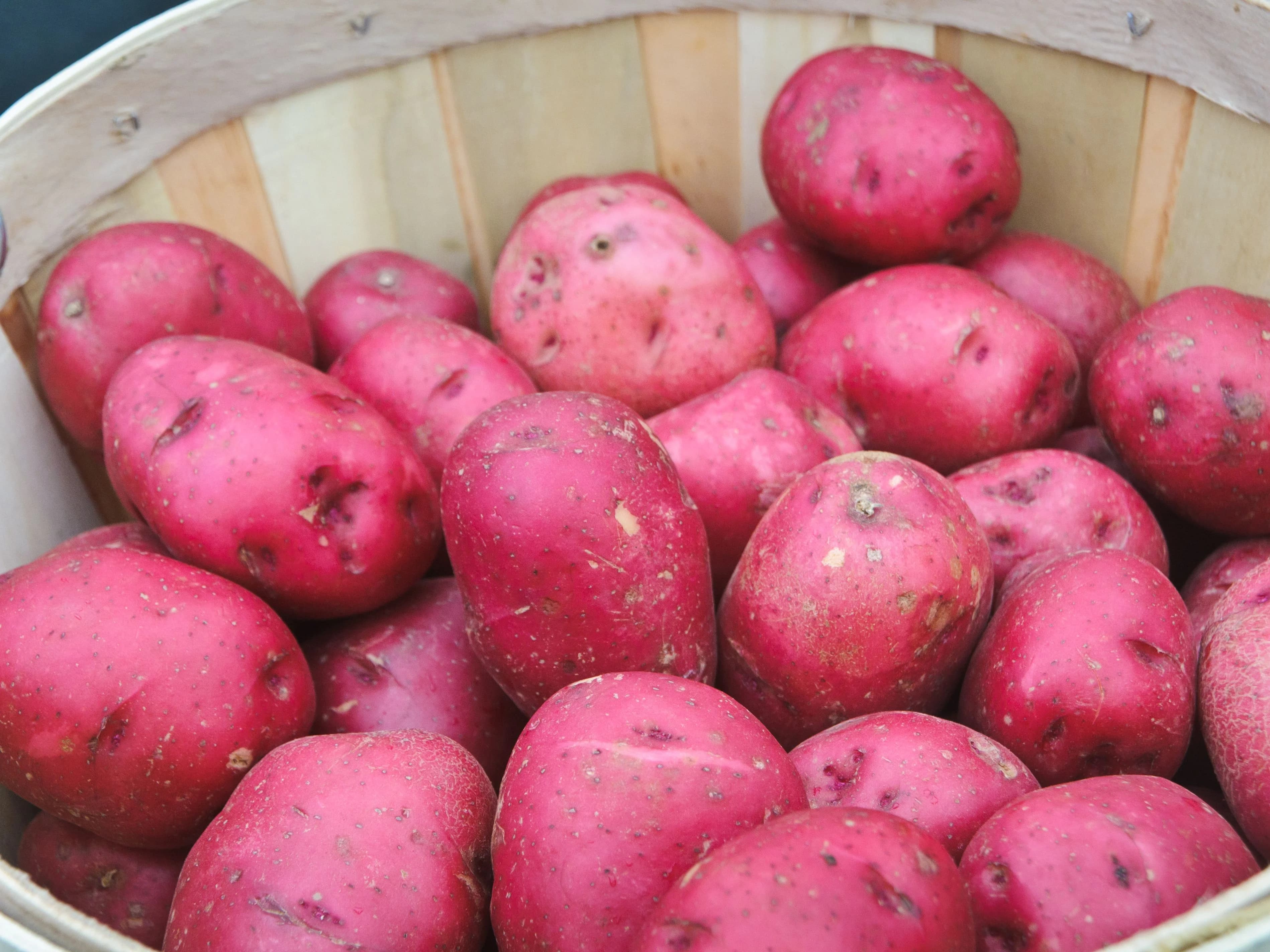 Red Potato Quart