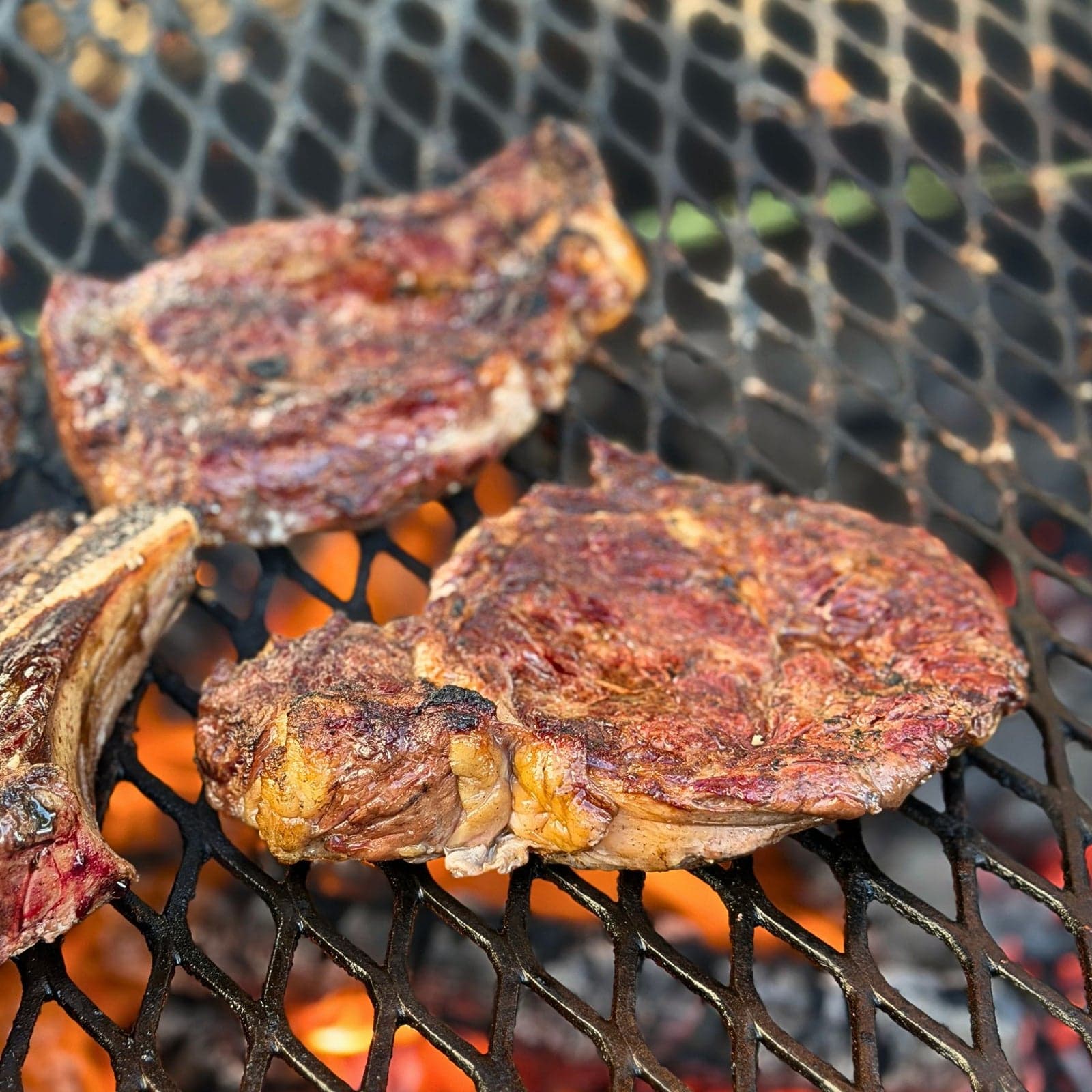 Grassfed Ribeye Steak