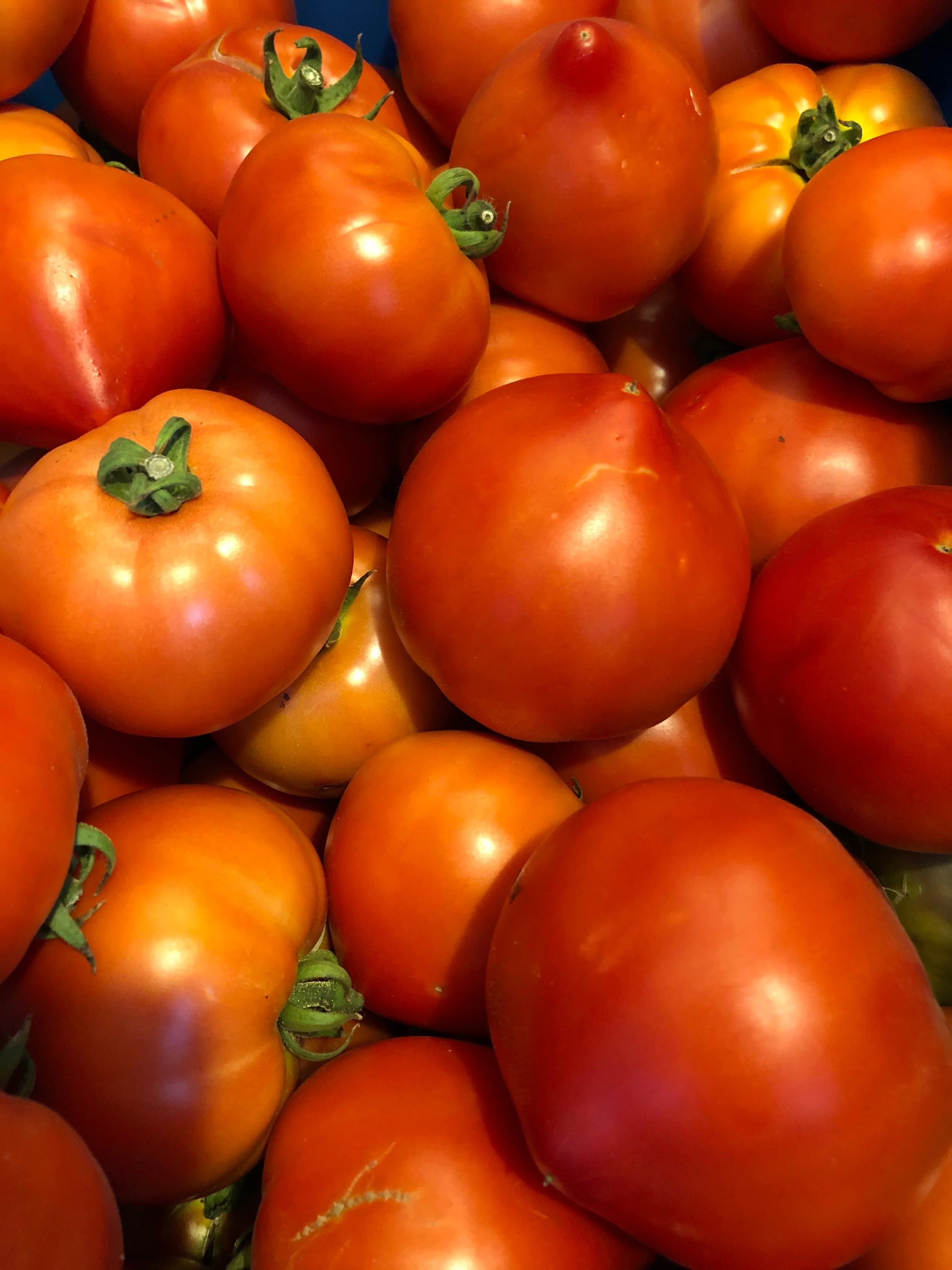 Tomato - Slicer (1lb)