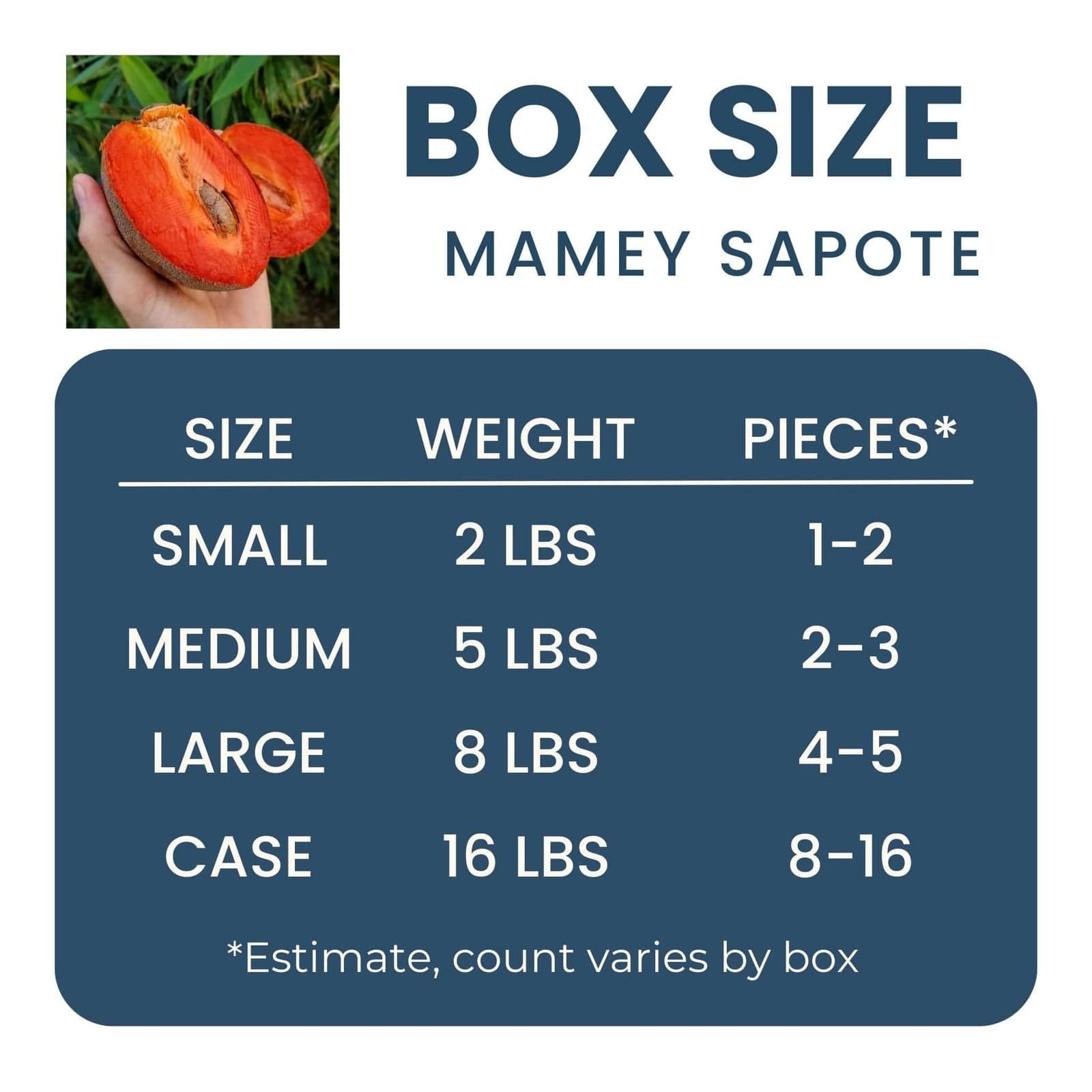 Mamey Sapote image 2