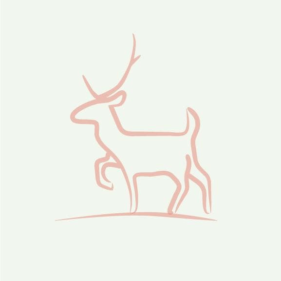 New Zealand Red Deer Ground
