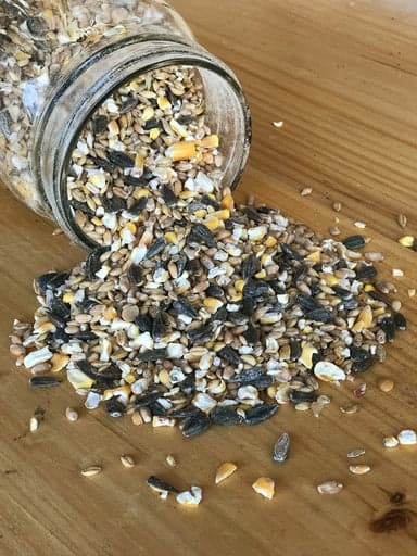 Non-GMO Bird & Wildlife Feed 25lbs