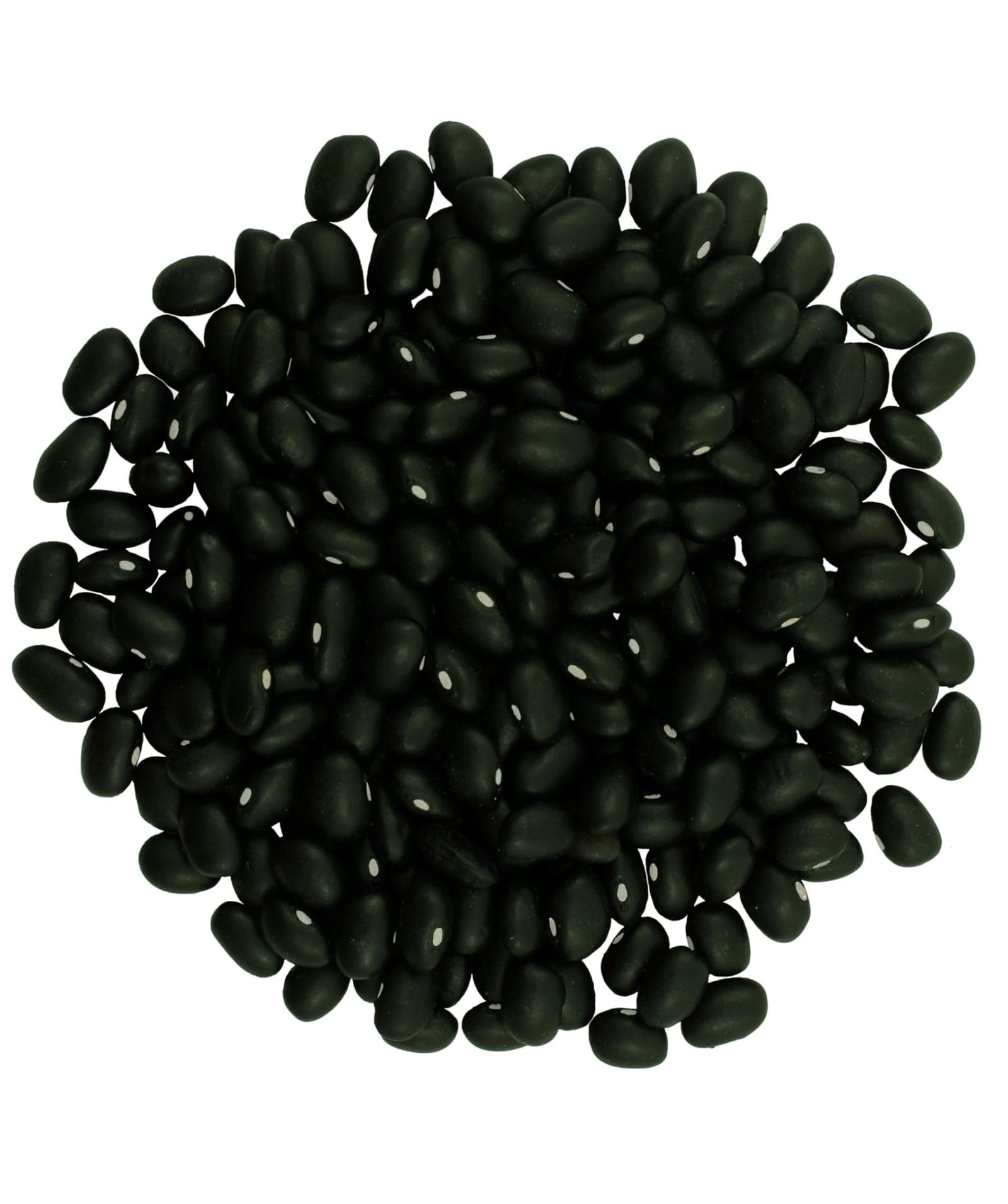 Black Beans - 1 lb image 2
