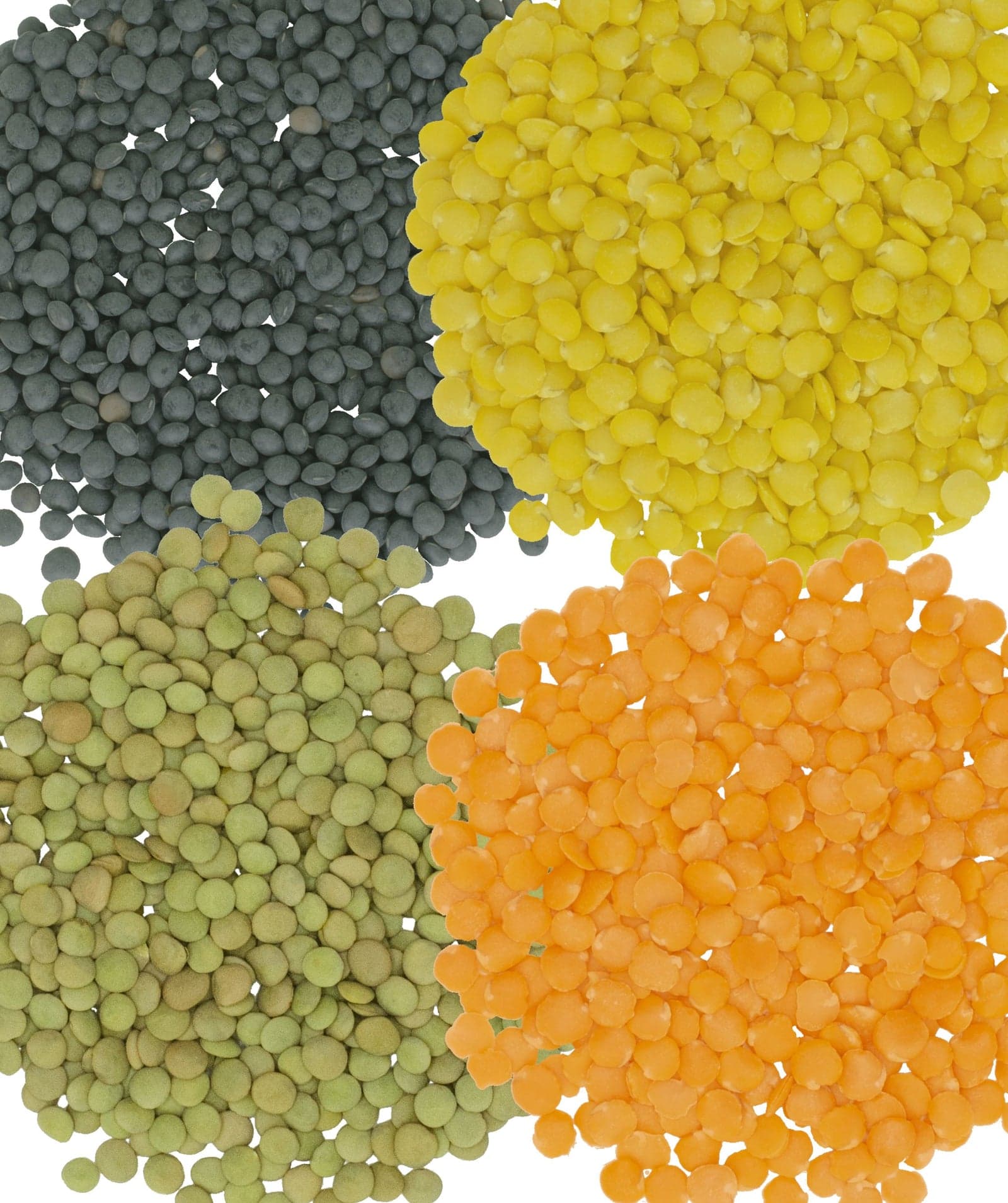 Clear Creek Lentil Bundle- 16 LB image 2