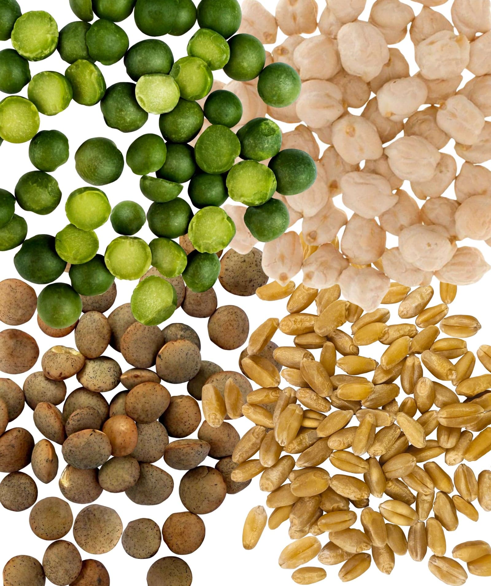Farm to Table Starter Bundle - 4 lb image 2