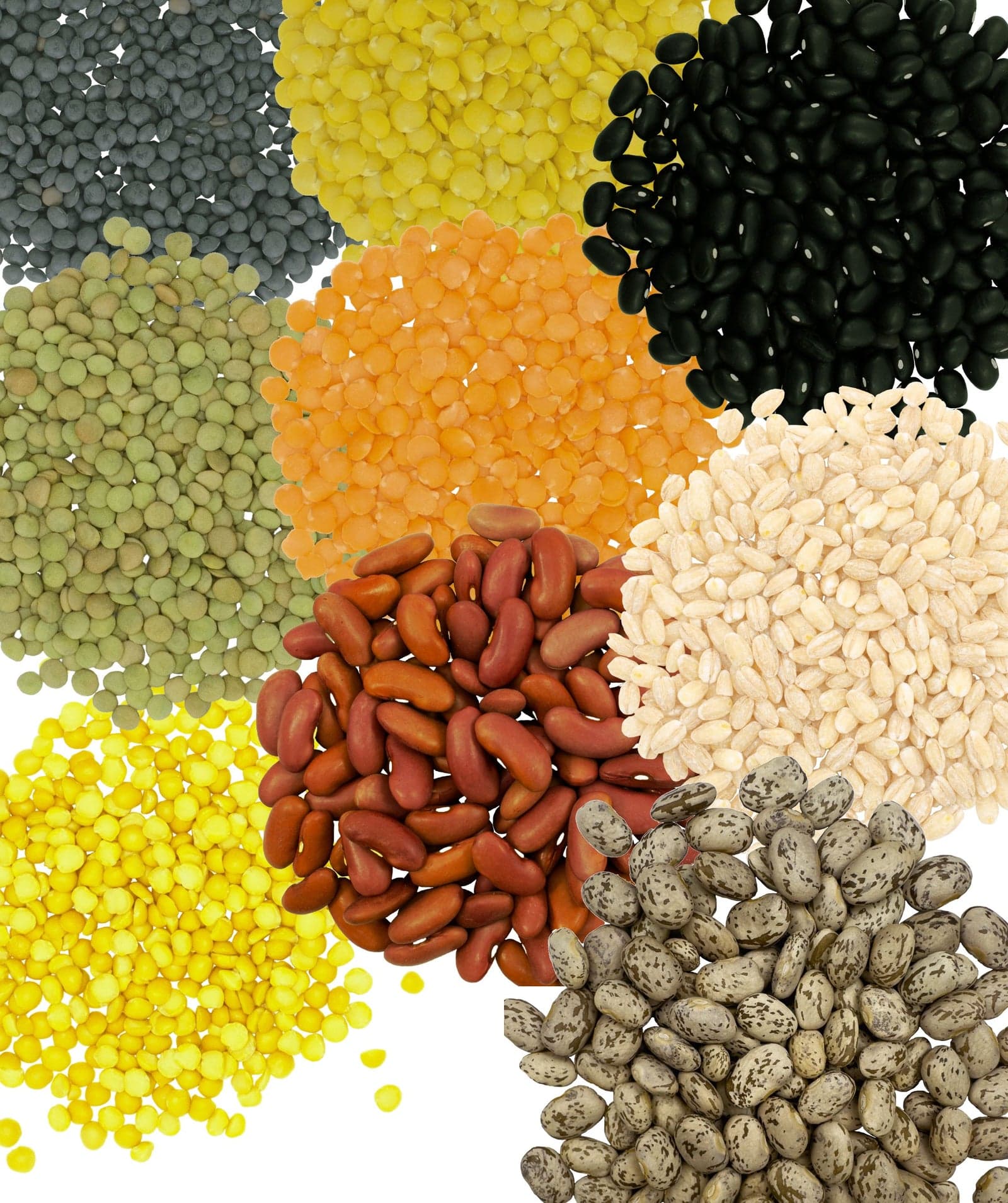 Clear Creek Variety Bundle - 9 LBS image 2