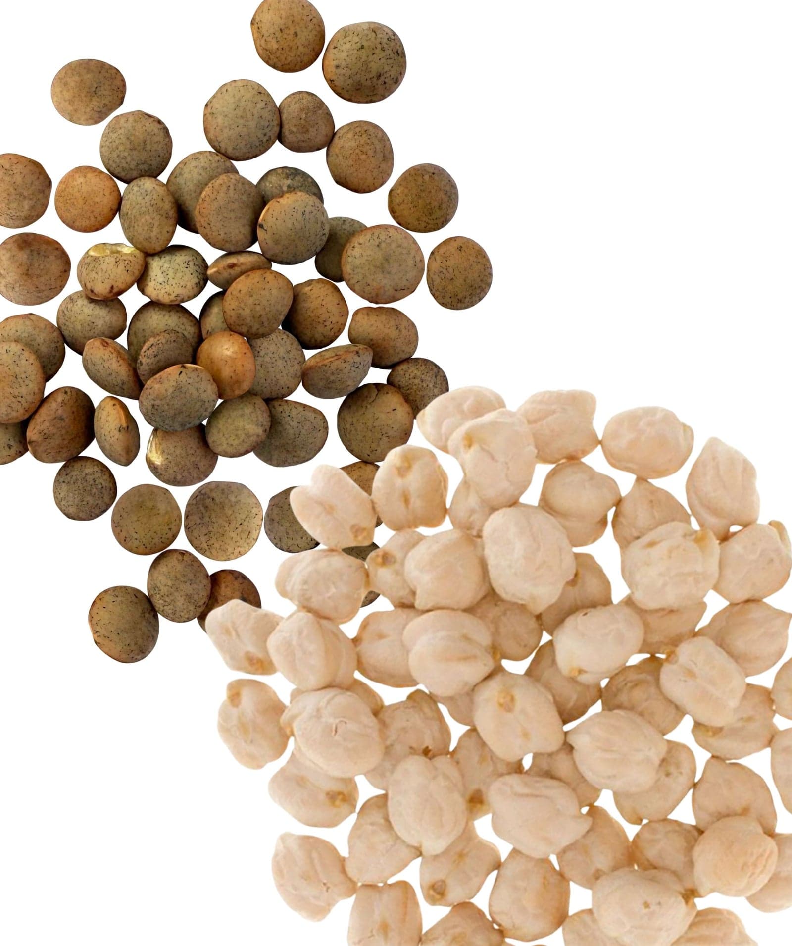 Legume Variety Bundle - 10 LB image 2