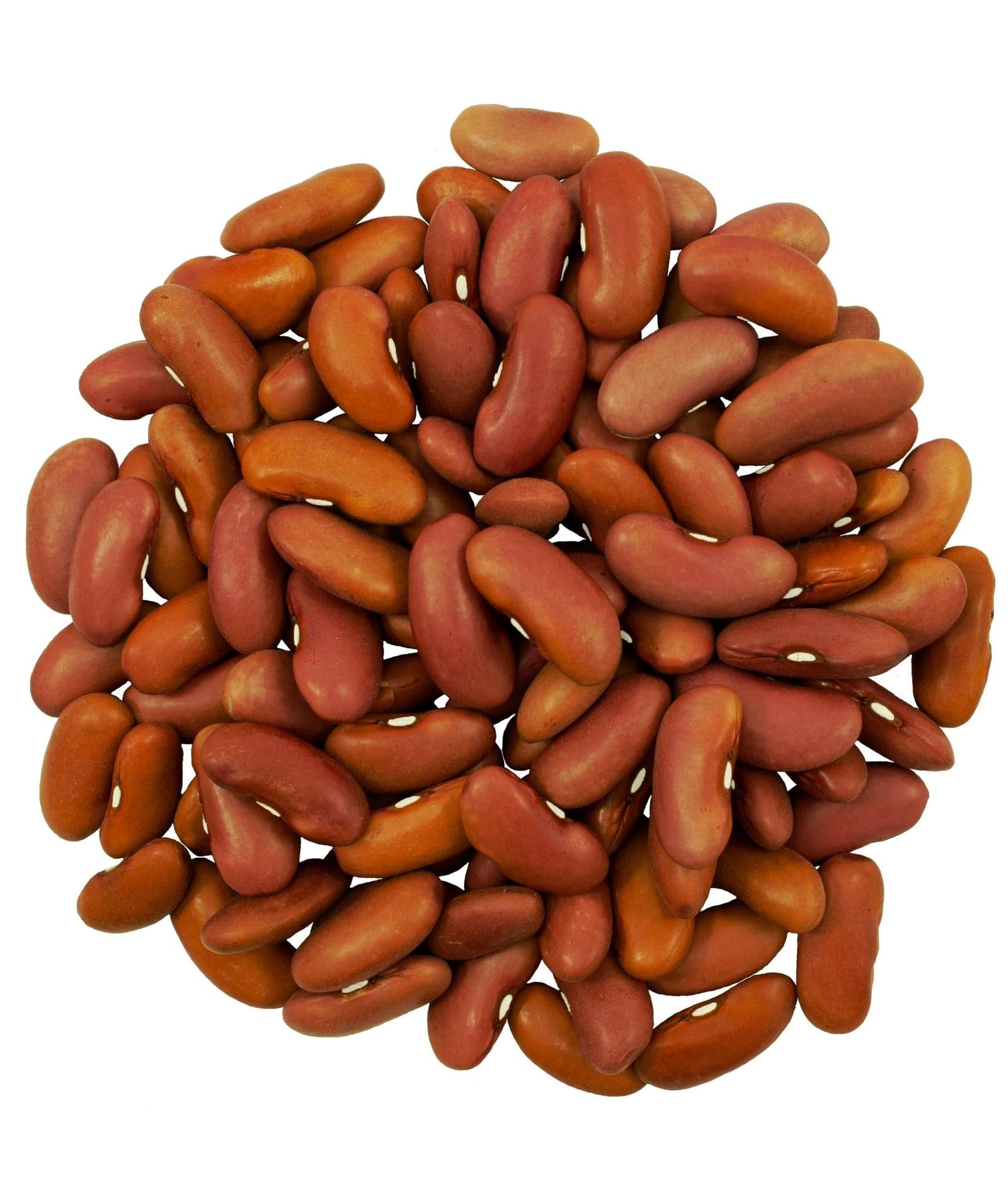 Kidney Beans - 25 lb Bag image 2