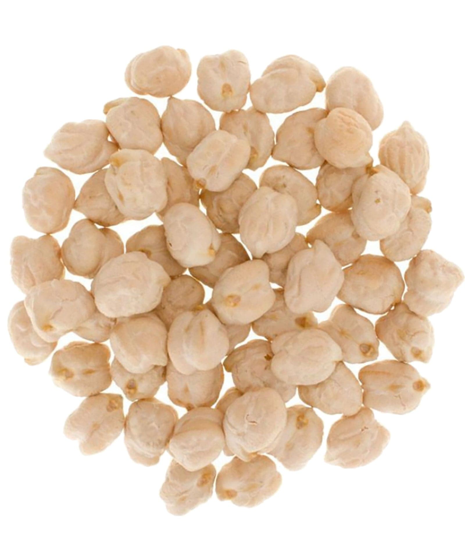 Chickpeas - Value Pack - 15 lb image 2