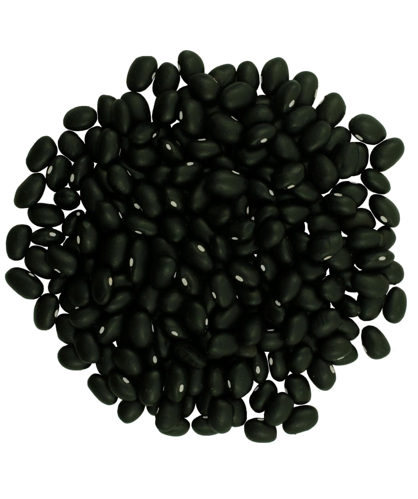 Black Beans - Value Pack - 8 lb image 2