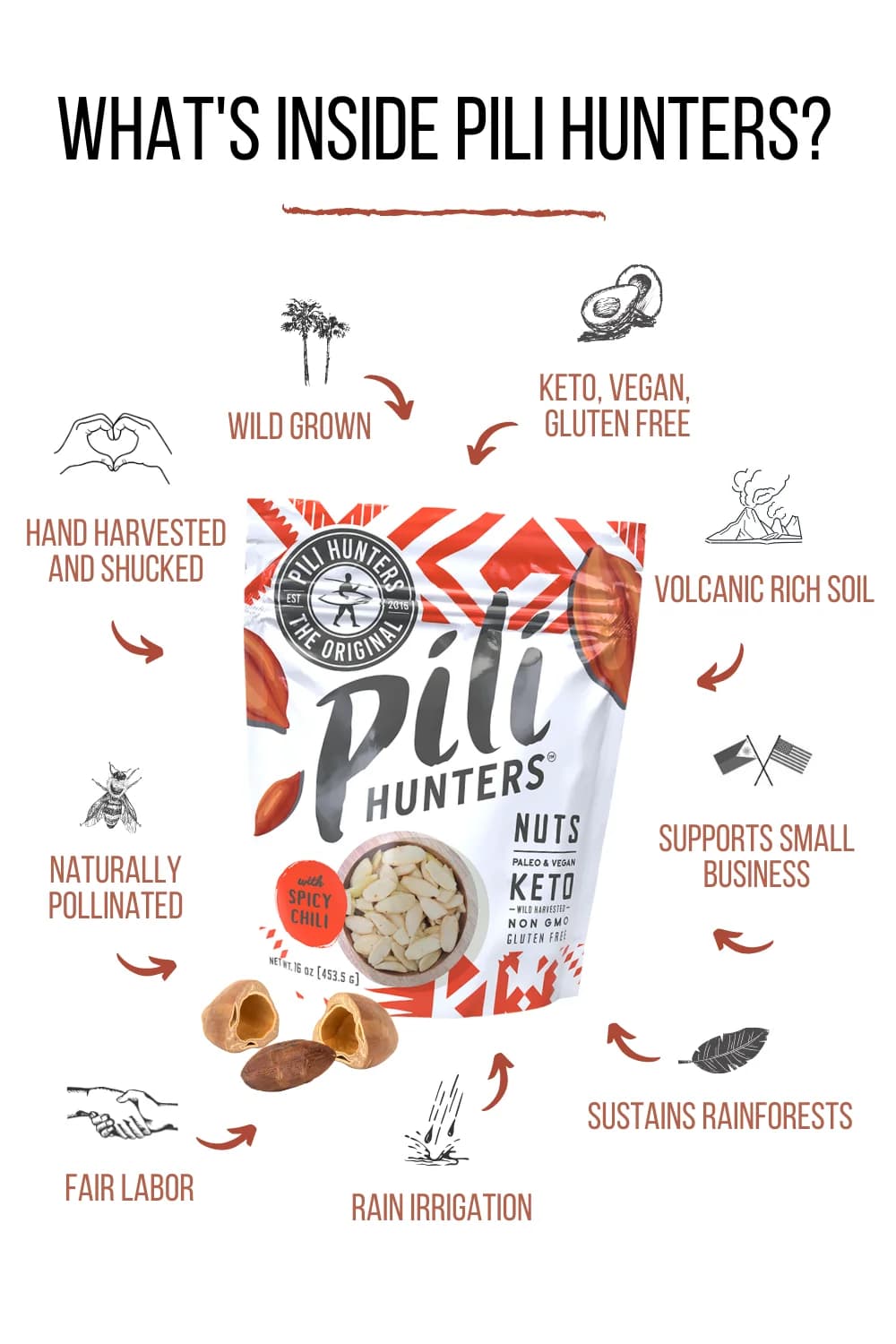 Pili Hunters™ Nuts Spicy Labuyo Chili SALE image 3
