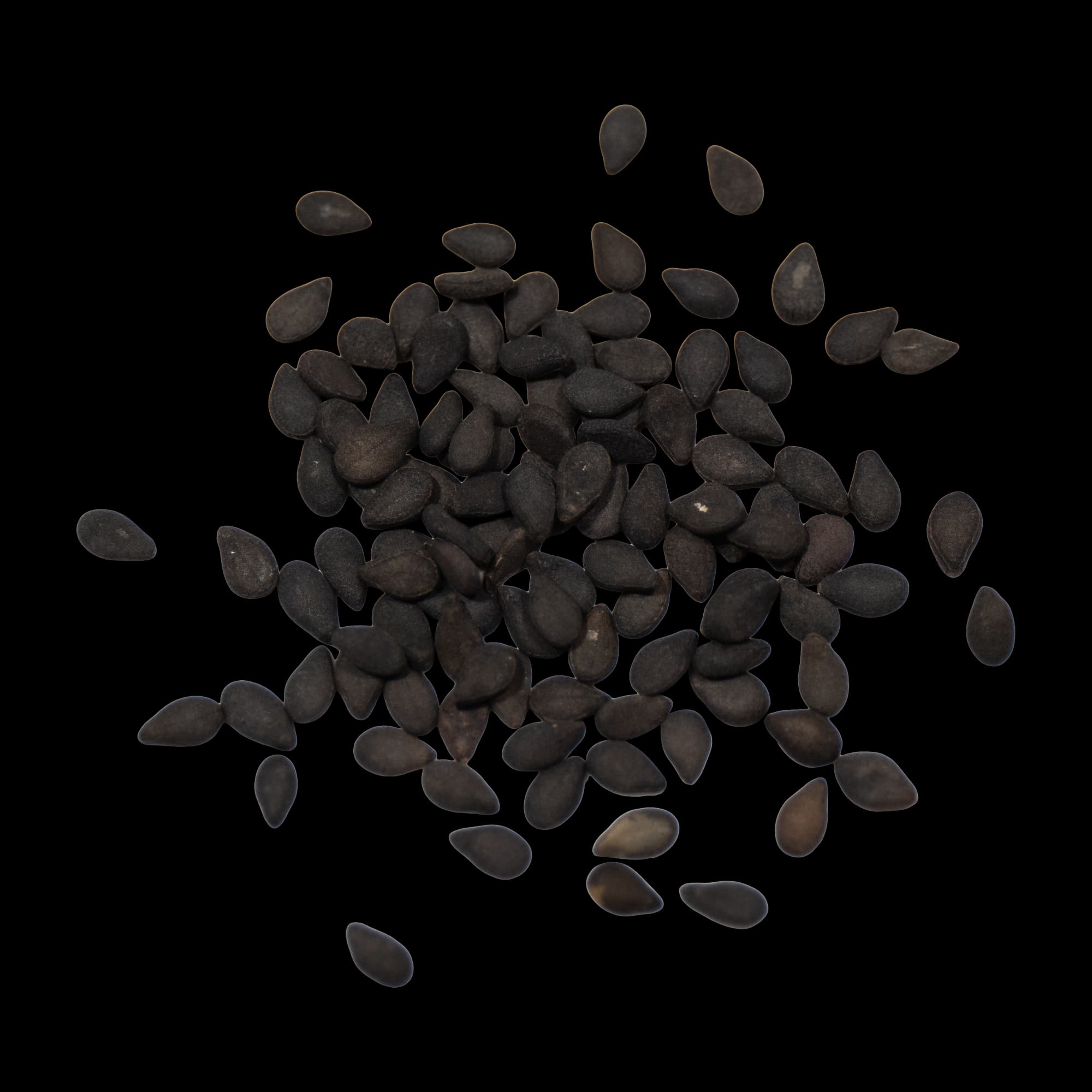 Seeds