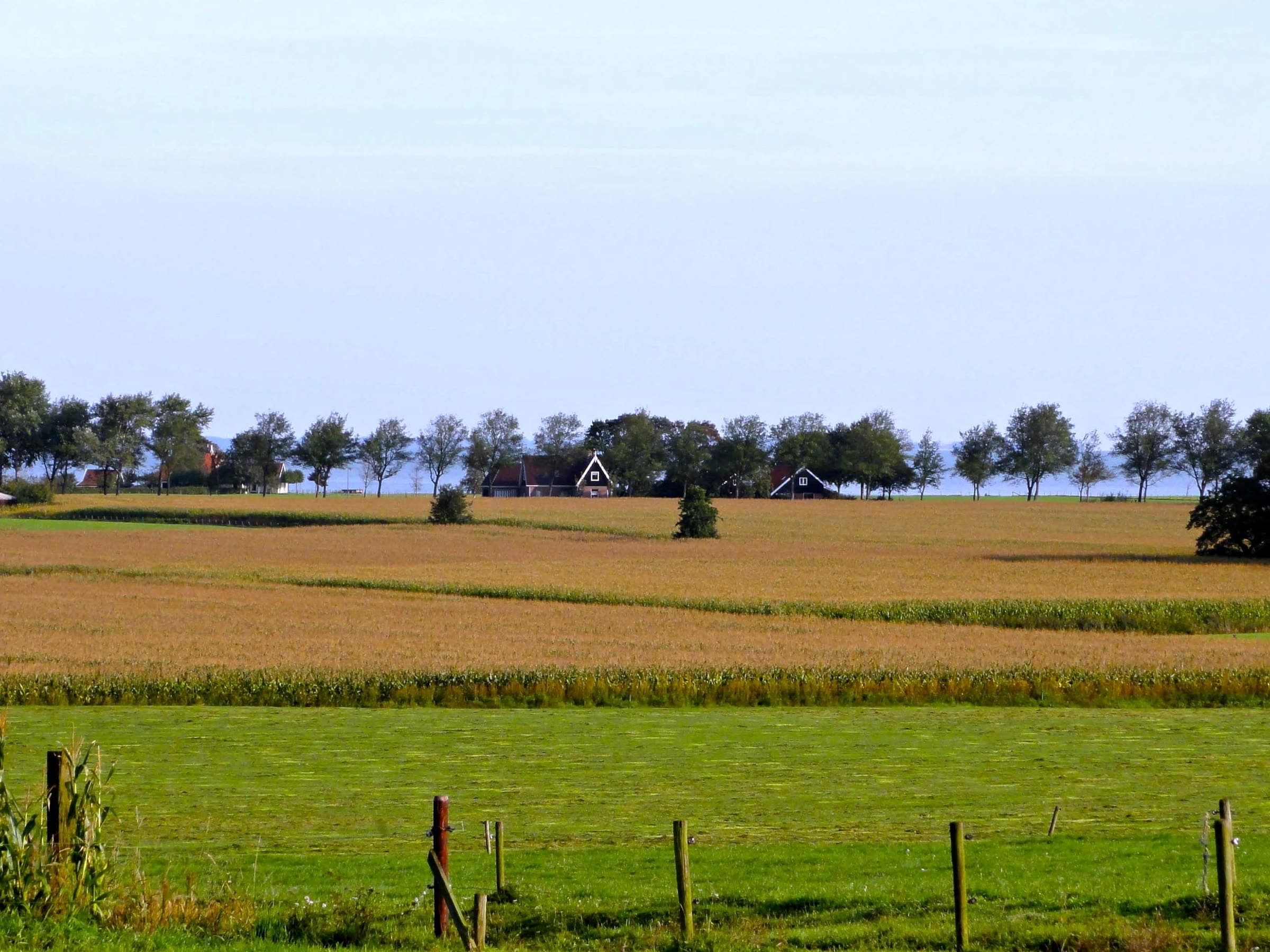 Open pasture and harvest fields with a fence line and distant farm buildings